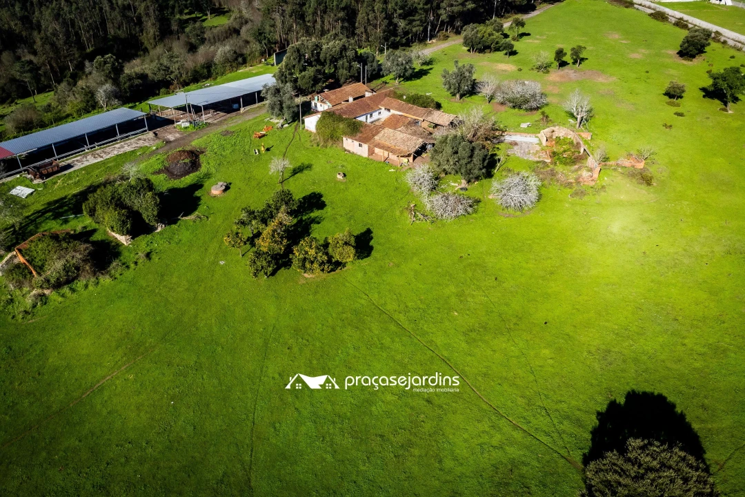 Quinta T0 para Venda em Souto da Carpalhosa e Ortigosa Foto 12