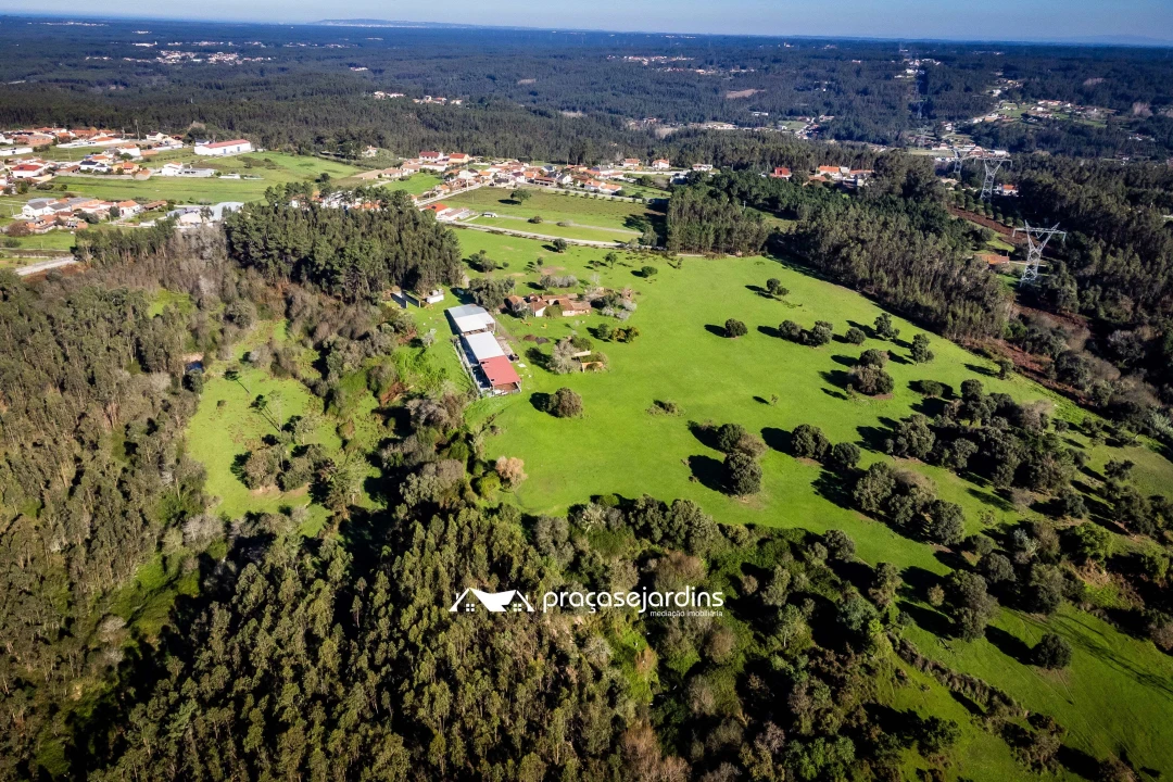 Quinta T0 para Venda em Souto da Carpalhosa e Ortigosa Foto 5