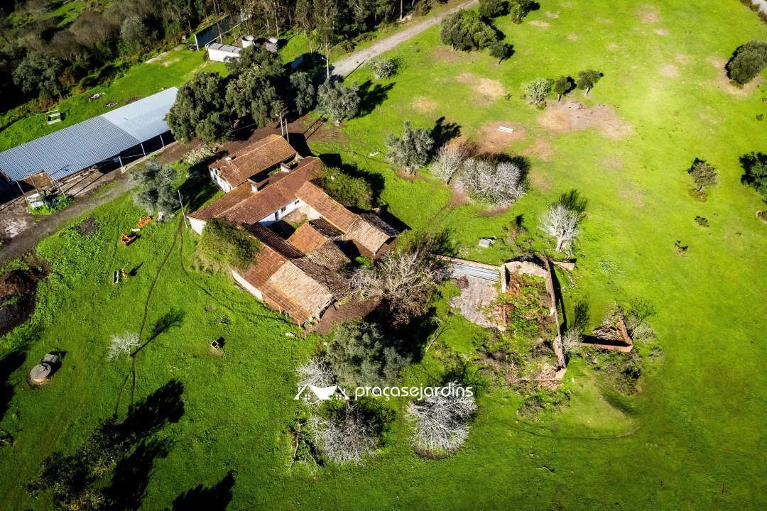 Quinta T0 para Venda em Souto da Carpalhosa e Ortigosa Foto 8