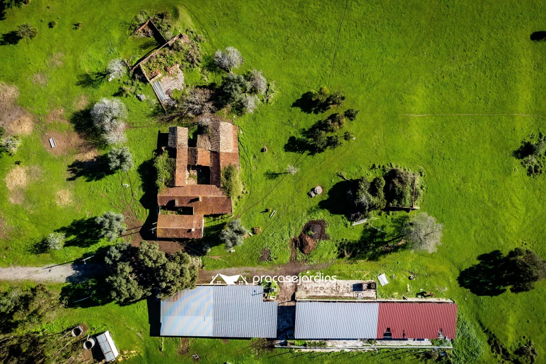 Quinta T0 para Venda em Souto da Carpalhosa e Ortigosa Foto 7