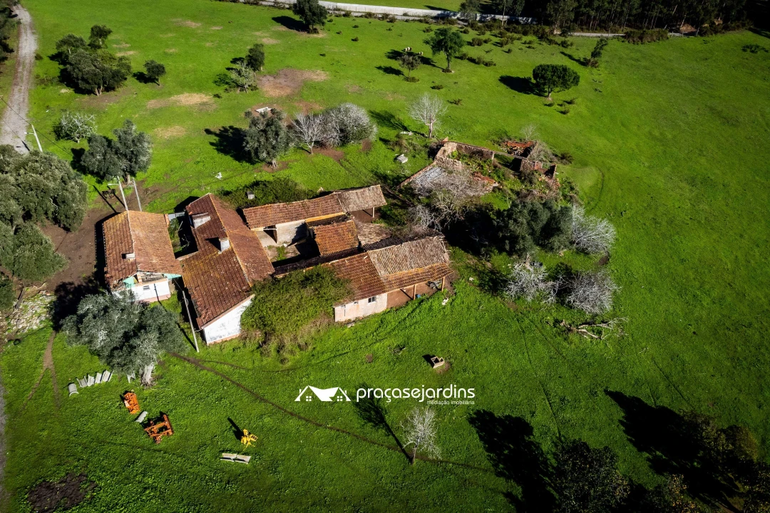 Quinta T0 para Venda em Souto da Carpalhosa e Ortigosa Foto 11