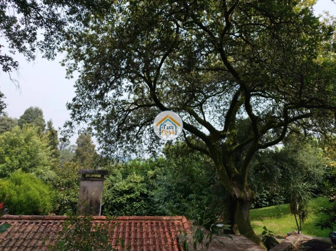 Moradia T5 para Venda em Viatodos, Grimancelos, Minhotães, Monte Fralães Foto 2