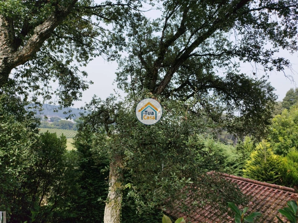 Moradia T5 para Venda em Viatodos, Grimancelos, Minhotães, Monte Fralães Foto 13