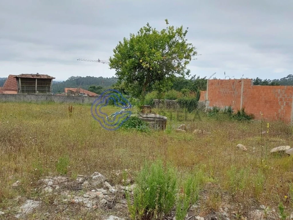 Terreno para Venda em Ovar, São João, Arada e São Vicente de Pereira Jusã Foto 18