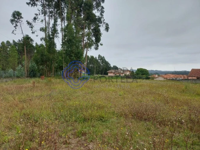 Terreno para Venda em Ovar, São João, Arada e São Vicente de Pereira Jusã Foto 16