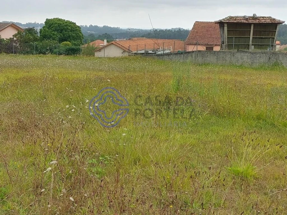 Terreno para Venda em Ovar, São João, Arada e São Vicente de Pereira Jusã Foto 7
