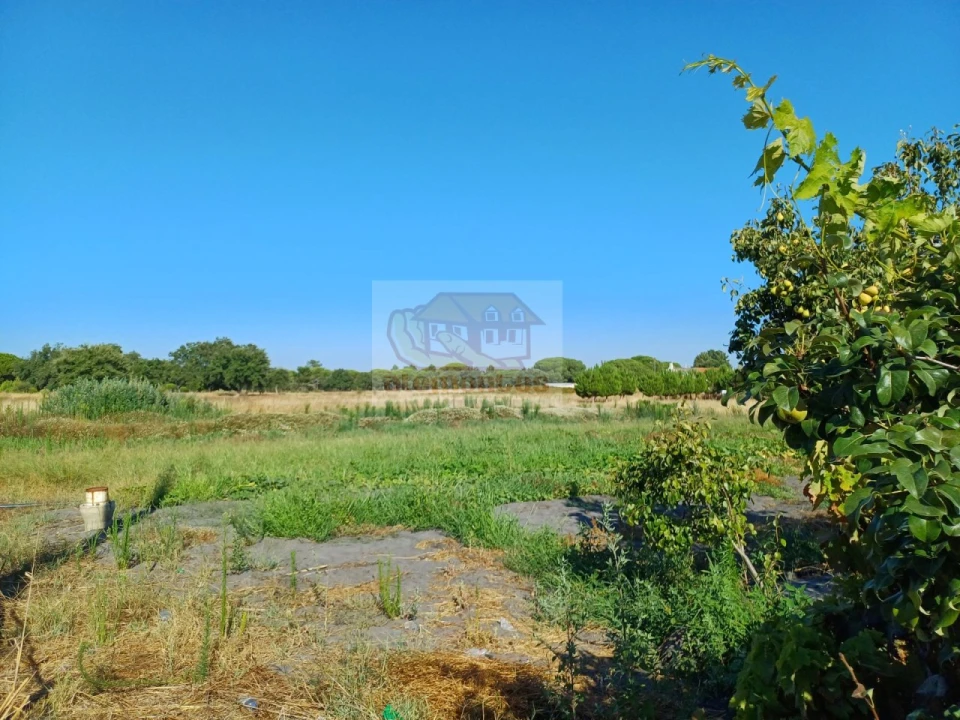 Armazém para Venda em Torrão Foto 3