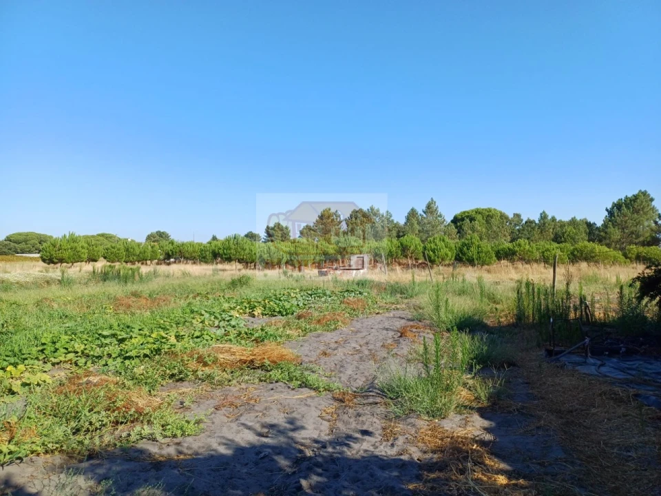 Armazém para Venda em Torrão Foto 5