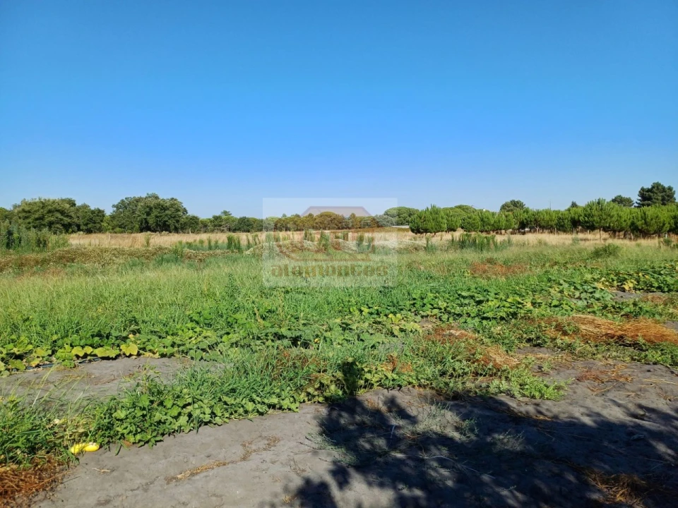 Armazém para Venda em Torrão Foto 6