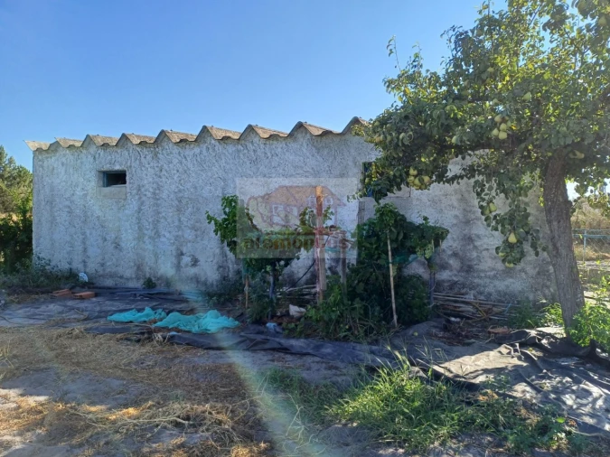 Armazém para Venda em Torrão Foto 7