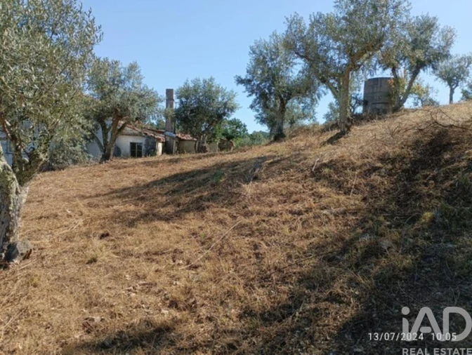 Quinta T3 para Venda em Cumeada e Marmeleiro Foto 29