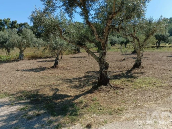 Quinta T3 para Venda em Cumeada e Marmeleiro Foto 22