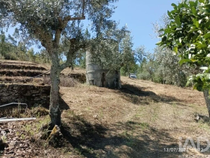 Quinta T3 para Venda em Cumeada e Marmeleiro Foto 21