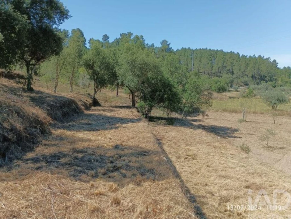 Quinta T3 para Venda em Cumeada e Marmeleiro Foto 20