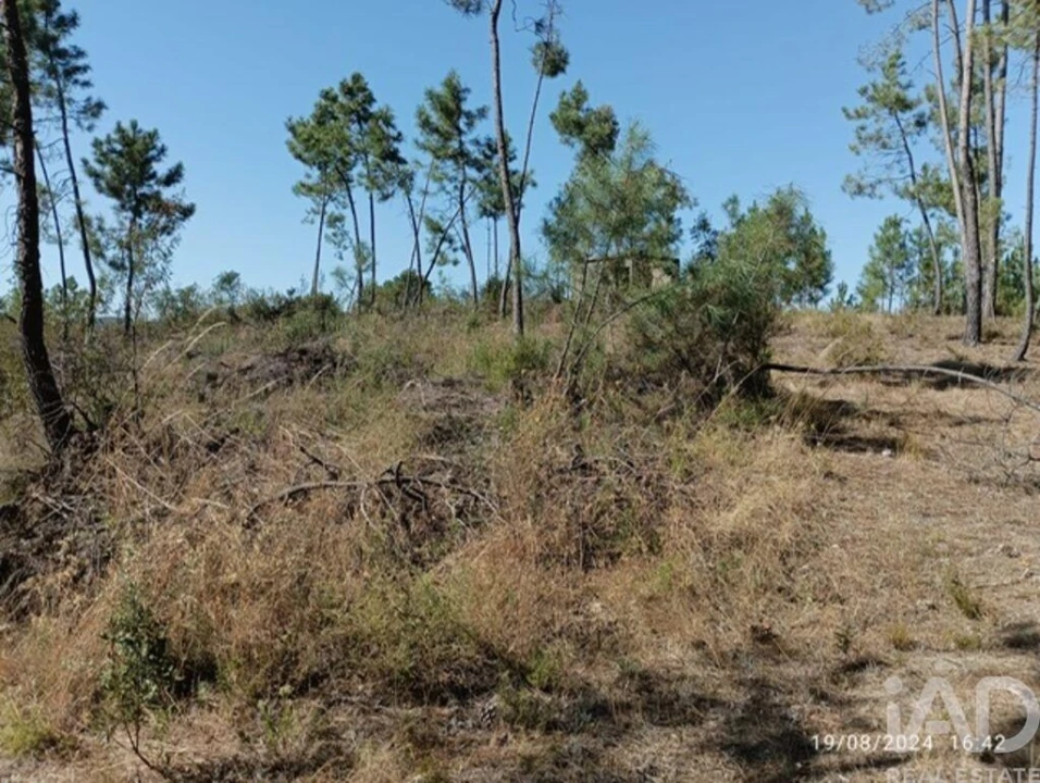 Quinta T3 para Venda em Cumeada e Marmeleiro Foto 27