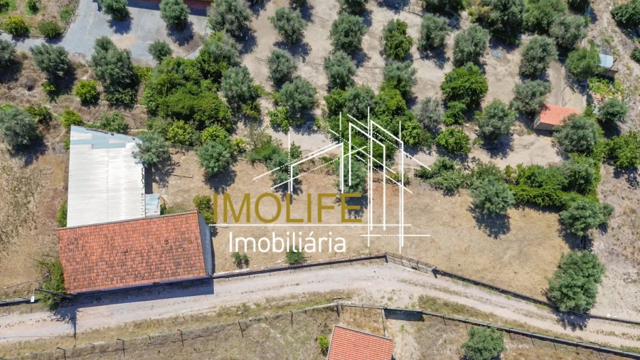 Armazém para Venda em Cabeção Foto 9