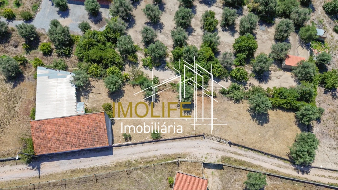 Armazém para Venda em Cabeção Foto 11