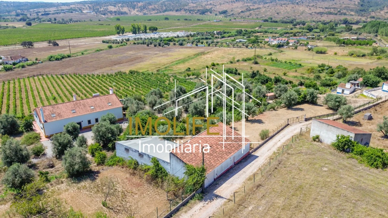 Armazém para Venda em Cabeção Foto 16