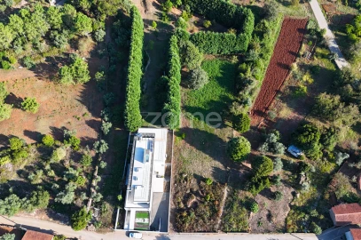 Terreno para Venda em Cernache