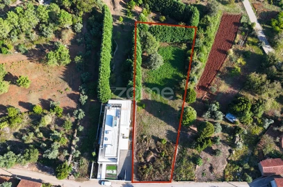 Terreno para Venda em Cernache