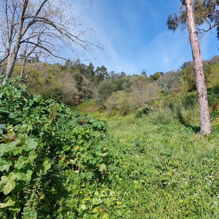 Terreno Agricola ou Rústico para Venda em Ramada e Caneças Foto 6