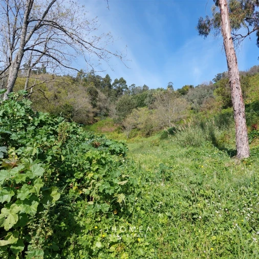 Terreno Agricola ou Rústico para Venda em Ramada e Caneças Foto 6