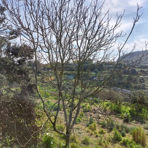Terreno Agricola ou Rústico para Venda em Ramada e Caneças Foto 17