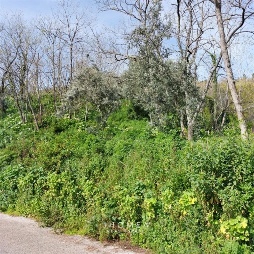 Terreno Agricola ou Rústico para Venda em Ramada e Caneças Foto 16