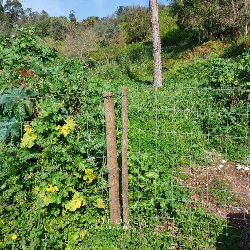 Terreno Agricola ou Rústico para Venda em Ramada e Caneças Foto 5
