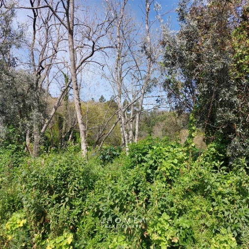 Terreno Agricola ou Rústico para Venda em Ramada e Caneças Foto 7