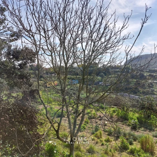 Terreno Agricola ou Rústico para Venda em Ramada e Caneças Foto 2