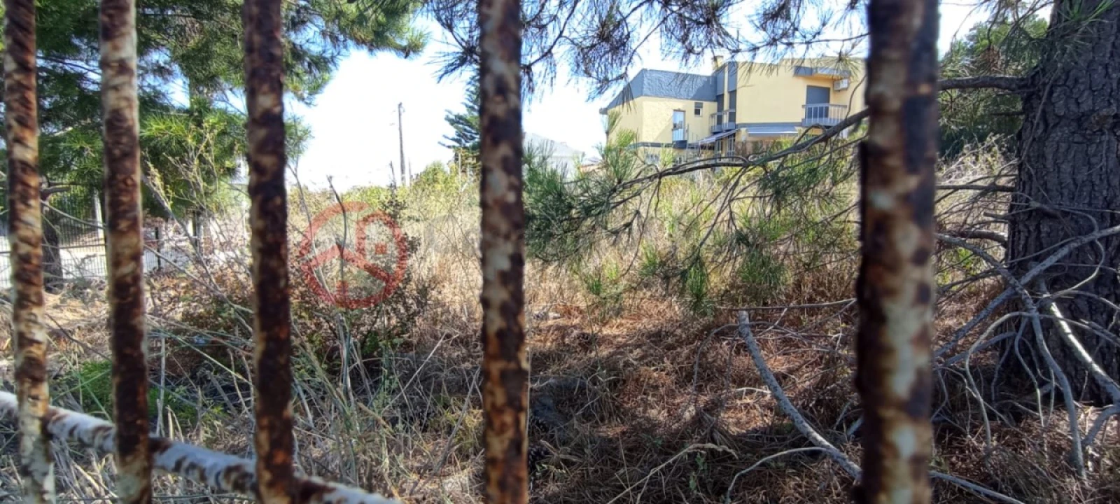 Terreno para Venda em Amora Foto 3