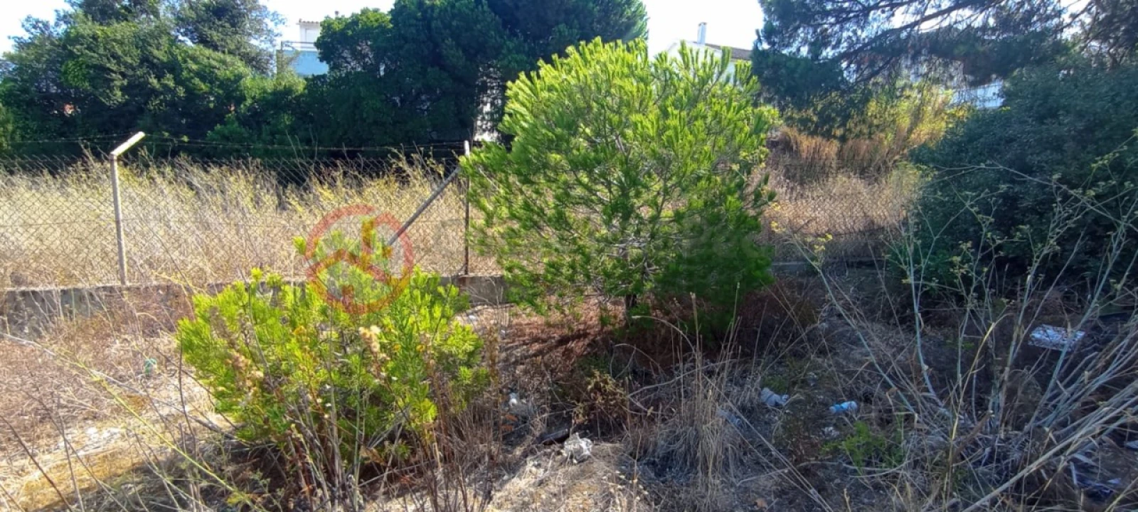 Terreno para Venda em Amora Foto 8