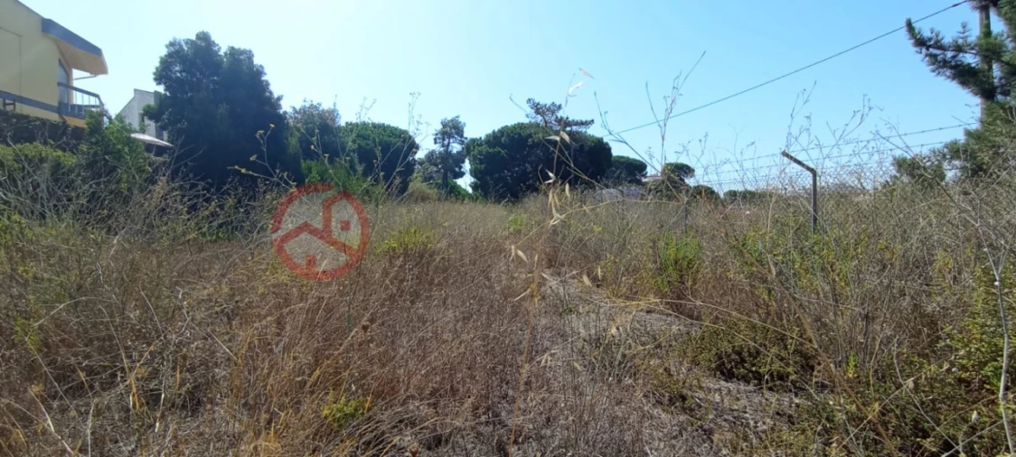 Terreno para Venda em Amora Foto 2