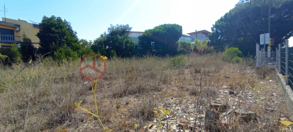 Terreno para Venda em Amora Foto 6