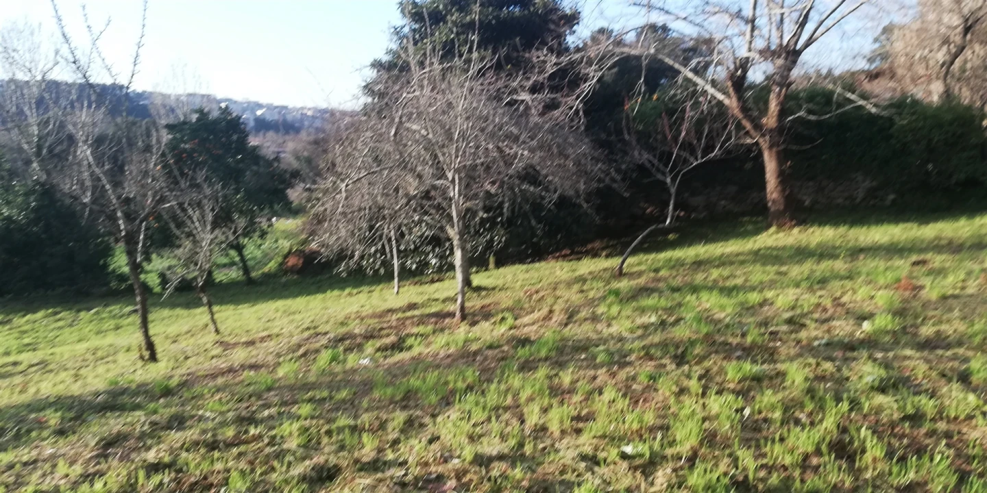 Moradia T2 para Venda em Avintes Foto 2