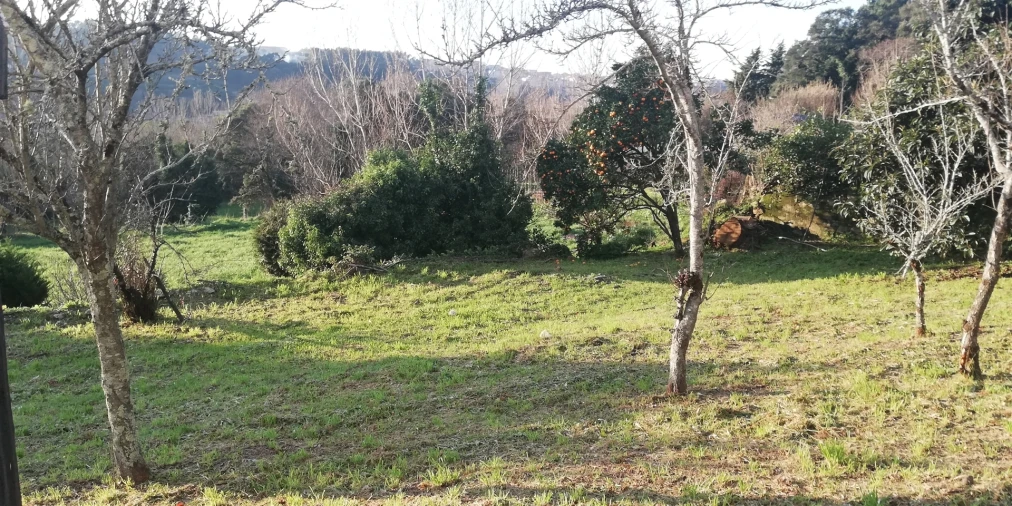 Moradia T2 para Venda em Avintes Foto 34