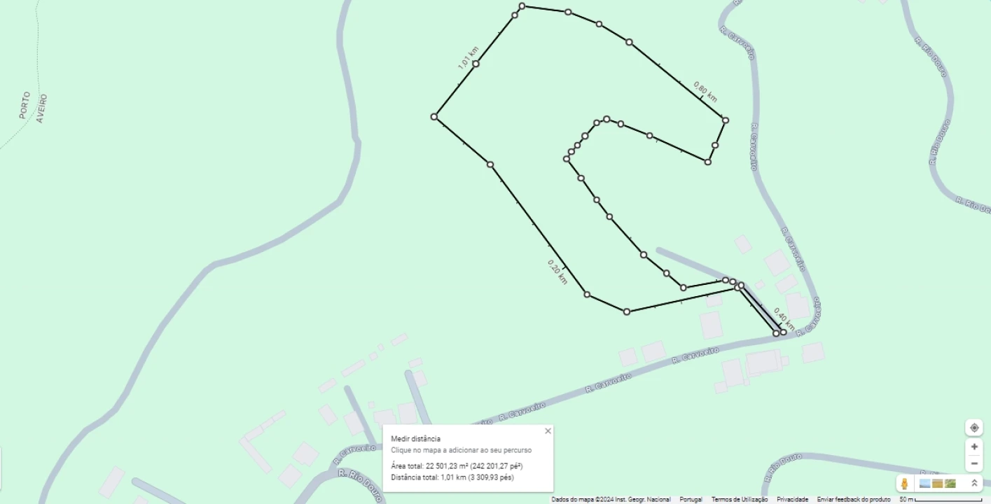 Terreno para Venda em Canedo, Vale e Vila Maior Foto 2