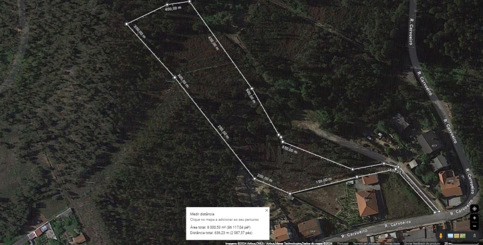 Terreno para Venda em Canedo, Vale e Vila Maior Foto 1