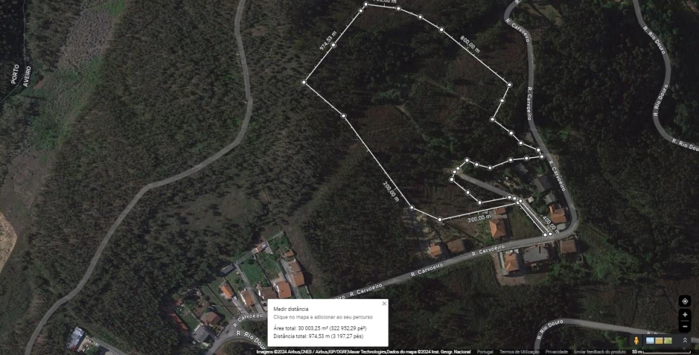 Terreno para Venda em Canedo, Vale e Vila Maior Foto 1