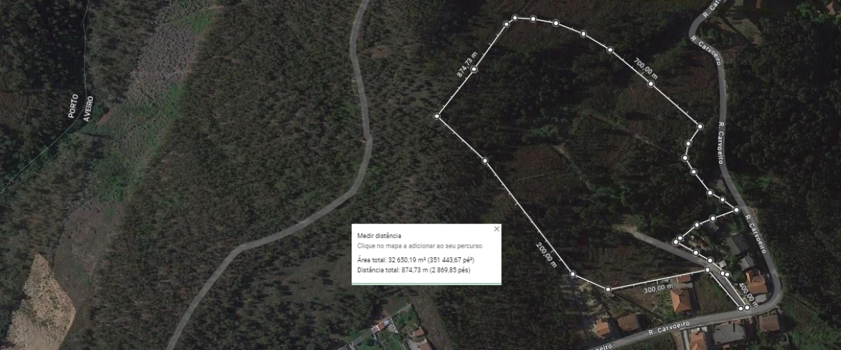 Terreno para Venda em Canedo, Vale e Vila Maior Foto 2