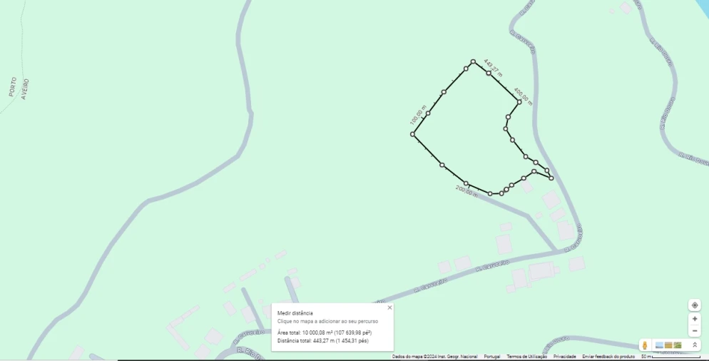 Terreno para Venda em Canedo, Vale e Vila Maior Foto 3