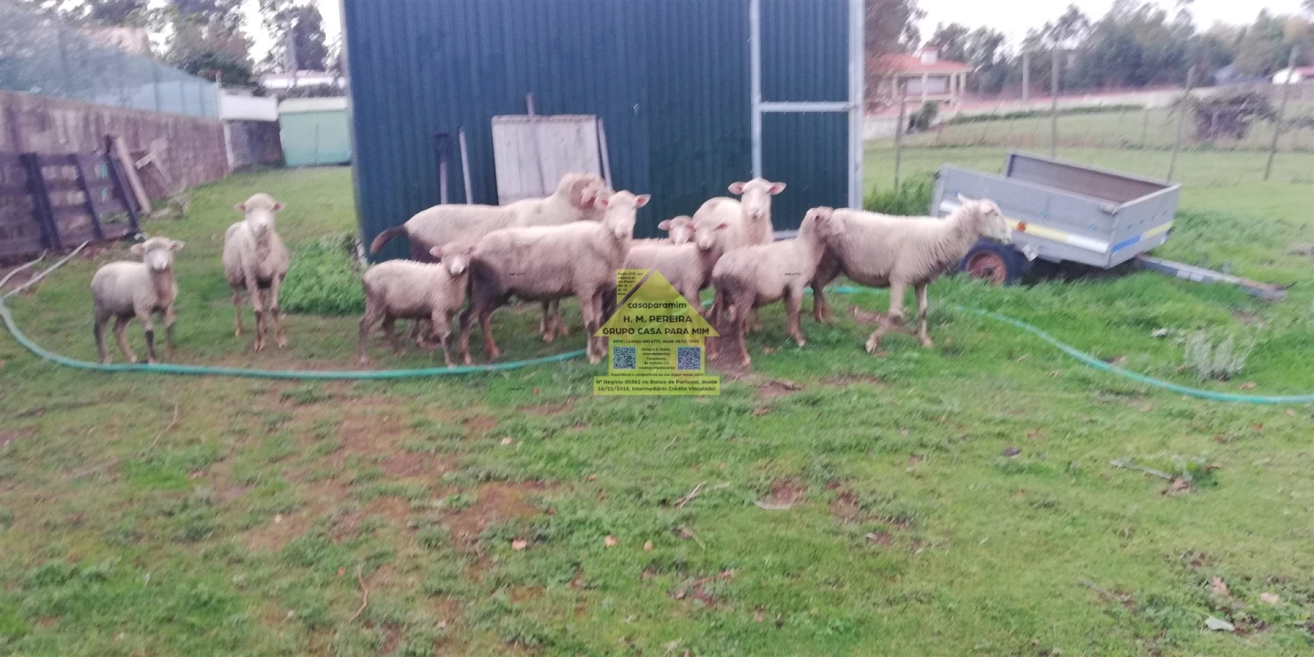 Moradia T3 para Venda em Pedroso e Seixezelo Foto 19