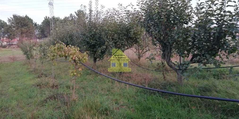 Moradia T3 para Venda em Pedroso e Seixezelo Foto 48