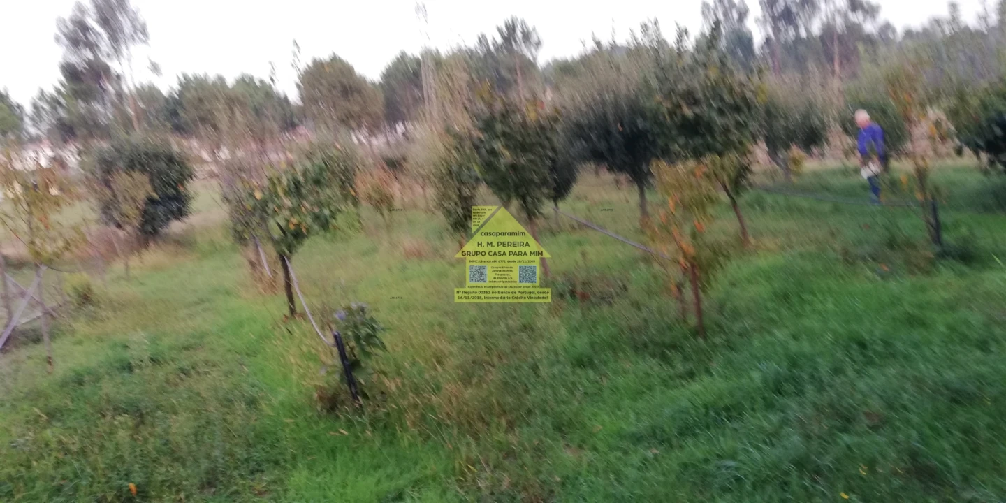 Moradia T3 para Venda em Pedroso e Seixezelo Foto 49