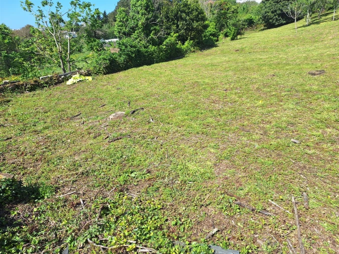 Terreno para Venda em Avintes Foto 13
