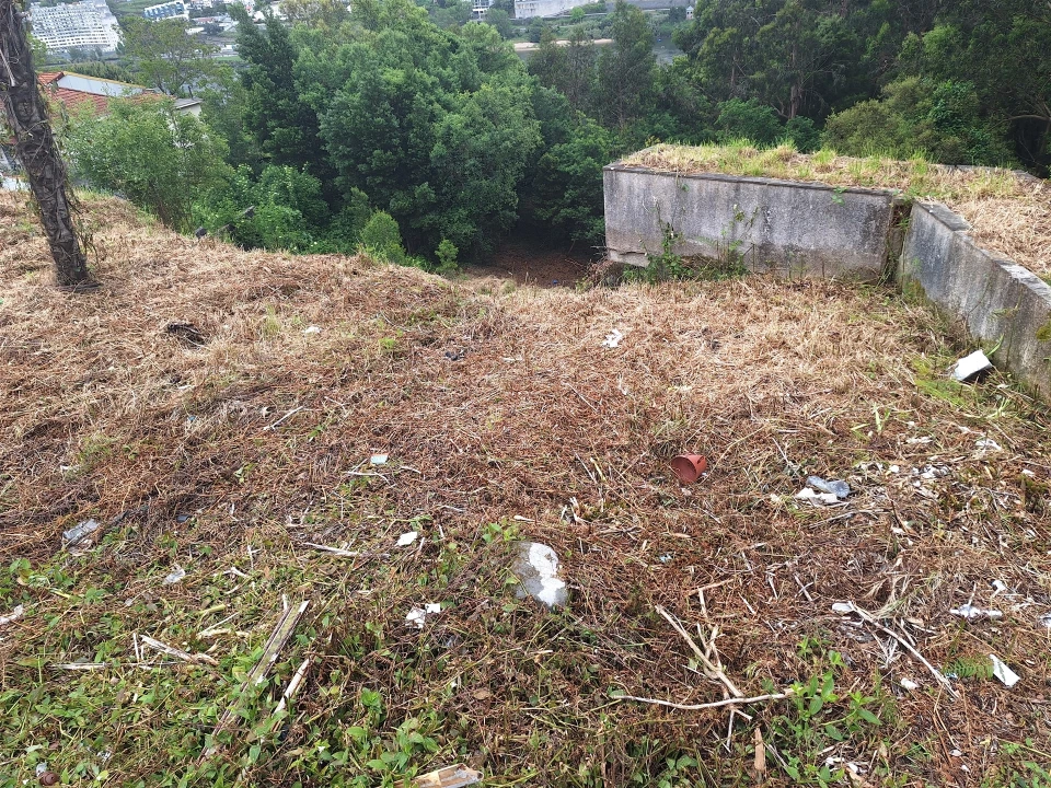 Terreno para Venda em Oliveira do Douro Foto 6