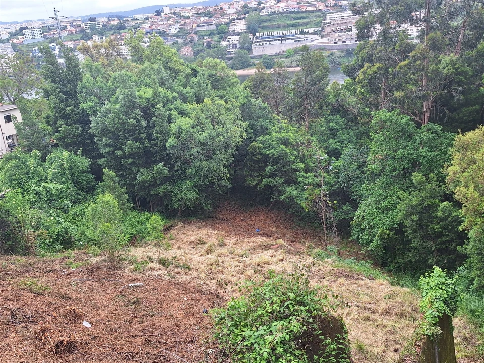 Terreno para Venda em Oliveira do Douro Foto 25