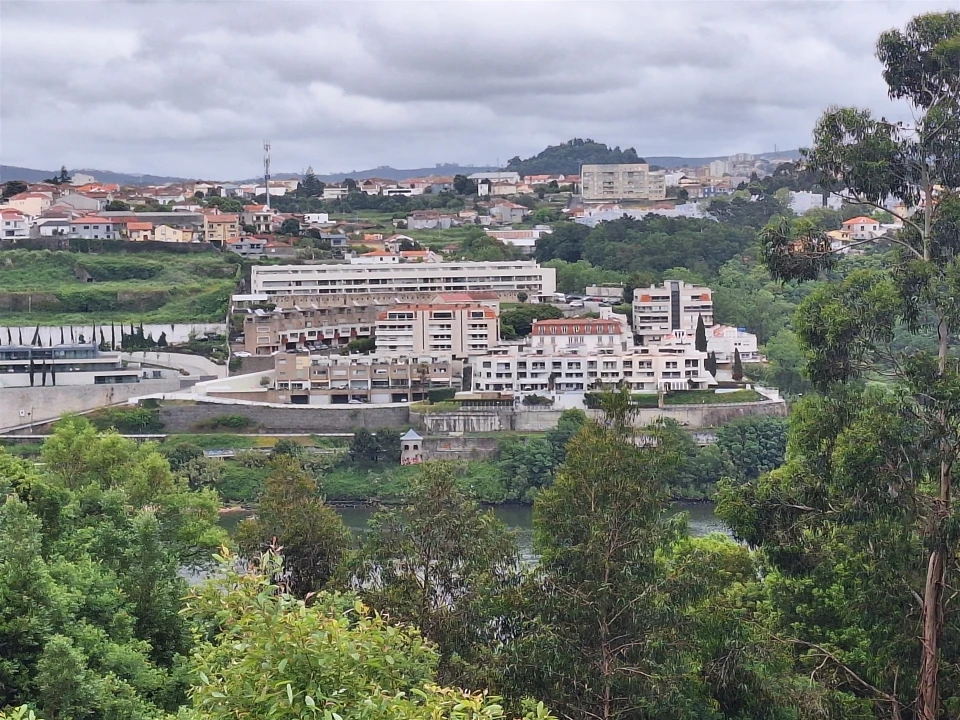 Terreno para Venda em Oliveira do Douro Foto 9