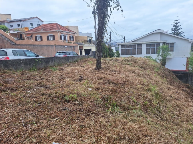 Terreno para Venda em Oliveira do Douro Foto 16